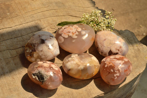 Polished Coral Flower Agate Hearts  x 6 From Antsahalova, Madagascar - TopRock