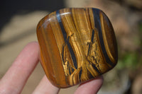 Polished Golden Tigers Eye Free Forms x 6 From Prieska, South Africa