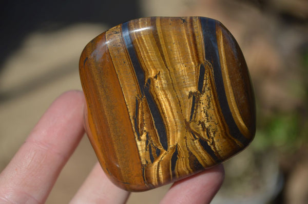 Polished Golden Tigers Eye Free Forms x 6 From Prieska, South Africa