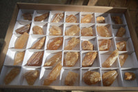 Natural Honey Aragonite Etched & Cobbed Pieces  x 35 From Namibia - Toprock Gemstones and Minerals 