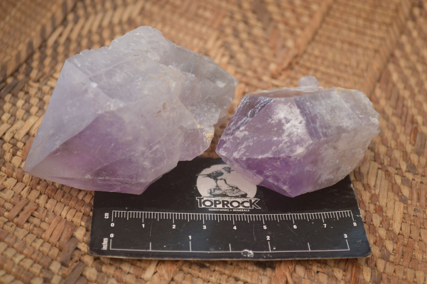 Natural Single Jacaranda Amethyst Crystals x 12 From Zambia - Toprock Gemstones and Minerals 