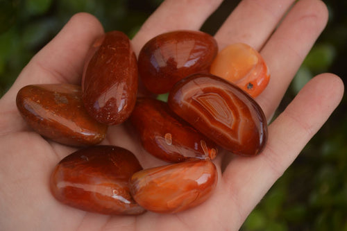 Polished  Small Carnelian Agate Free Forms  x 42 From Madagascar - Toprock Gemstones and Minerals 