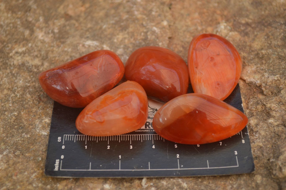 Polished  Small Carnelian Agate Free Forms  x 42 From Madagascar - Toprock Gemstones and Minerals 