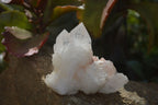 Natural Cathedral Window Quartz Crystals  x 6 From Madagascar - Toprock Gemstones and Minerals 