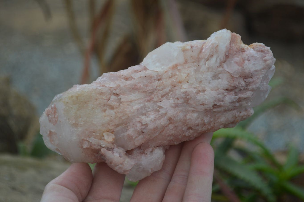 Natural Pink Candle Quartz Specimens   x 5 From Madagascar - Toprock Gemstones and Minerals 