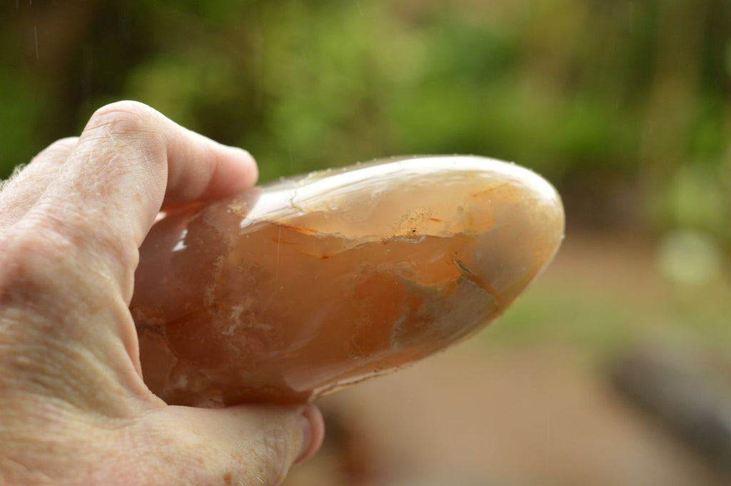 Polished Coral Flower Agate Standing Free Forms  x 3 From Madagascar - TopRock