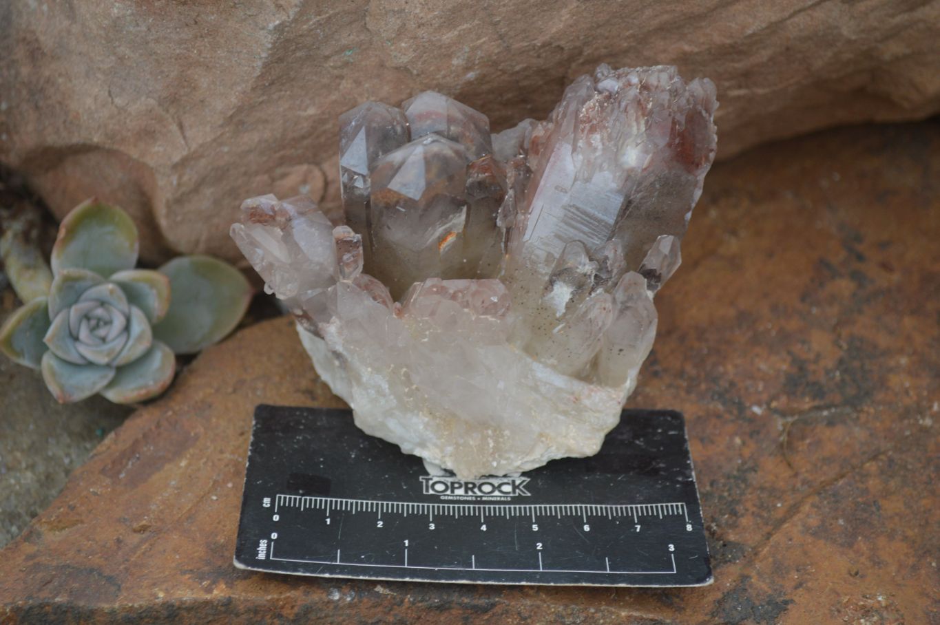 Natural Red Hematoid Quartz Clusters x 6 From Karoi, Zimbabwe - Toprock Gemstones and Minerals 