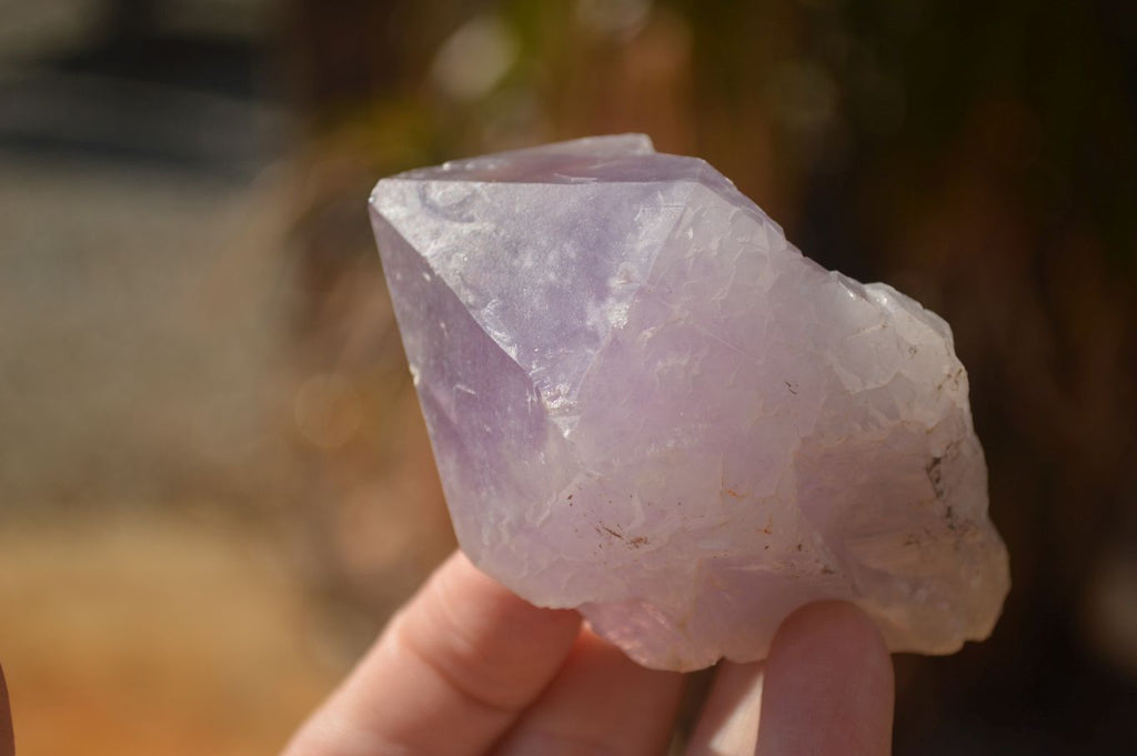 Natural Single Jacaranda Amethyst Crystals x 12 From Zambia - Toprock Gemstones and Minerals 
