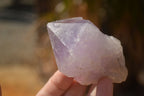 Natural Single Jacaranda Amethyst Crystals x 12 From Zambia - Toprock Gemstones and Minerals 