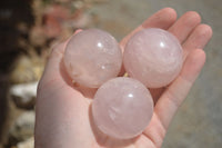 Polished Star Rose Quartz Spheres x 12 From Ambatondrazaka, Madagascar - TopRock