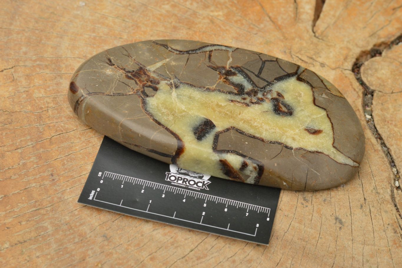 Polished Septerye (Calcite & Aragonite) Slices  x 4 From Mahajanga, Madagascar - TopRock