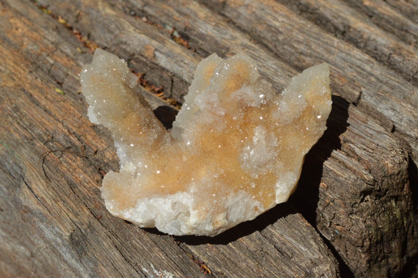Natural Fairy Spirit Quartz Fingers & Or Clusters x 5 From Boekenhouthoek, South Africa - TopRock