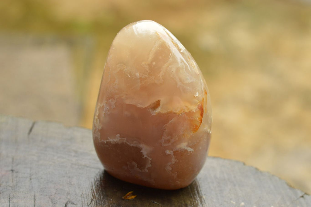 Polished Coral Flower Agate Standing Free Forms  x 3 From Madagascar - TopRock