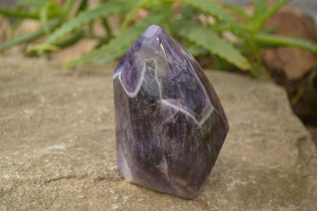 Polished Chevron Amethyst Point x 1 From Zambia - Toprock Gemstones and Minerals 