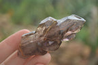 Natural Large Smokey Amethyst / Window Amethyst Crystals  x 6 From Chiredzi, Zimbabwe - Toprock Gemstones and Minerals 