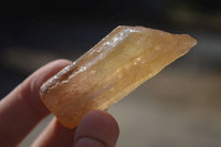 Natural Honey Aragonite Etched & Cobbed Pieces  x 35 From Namibia - Toprock Gemstones and Minerals 