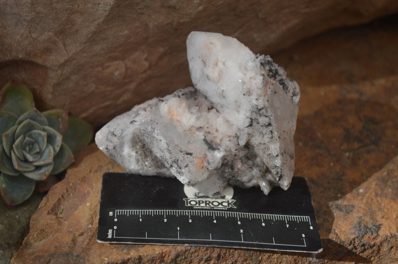 Natural Cathedral Window Quartz Crystals  x 6 From Madagascar - Toprock Gemstones and Minerals 