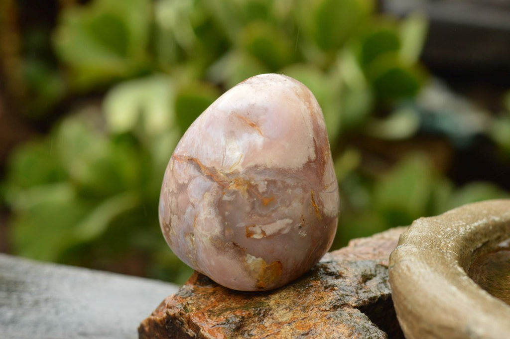 Polished Coral Flower Agate Standing Free Forms  x 3 From Madagascar - TopRock