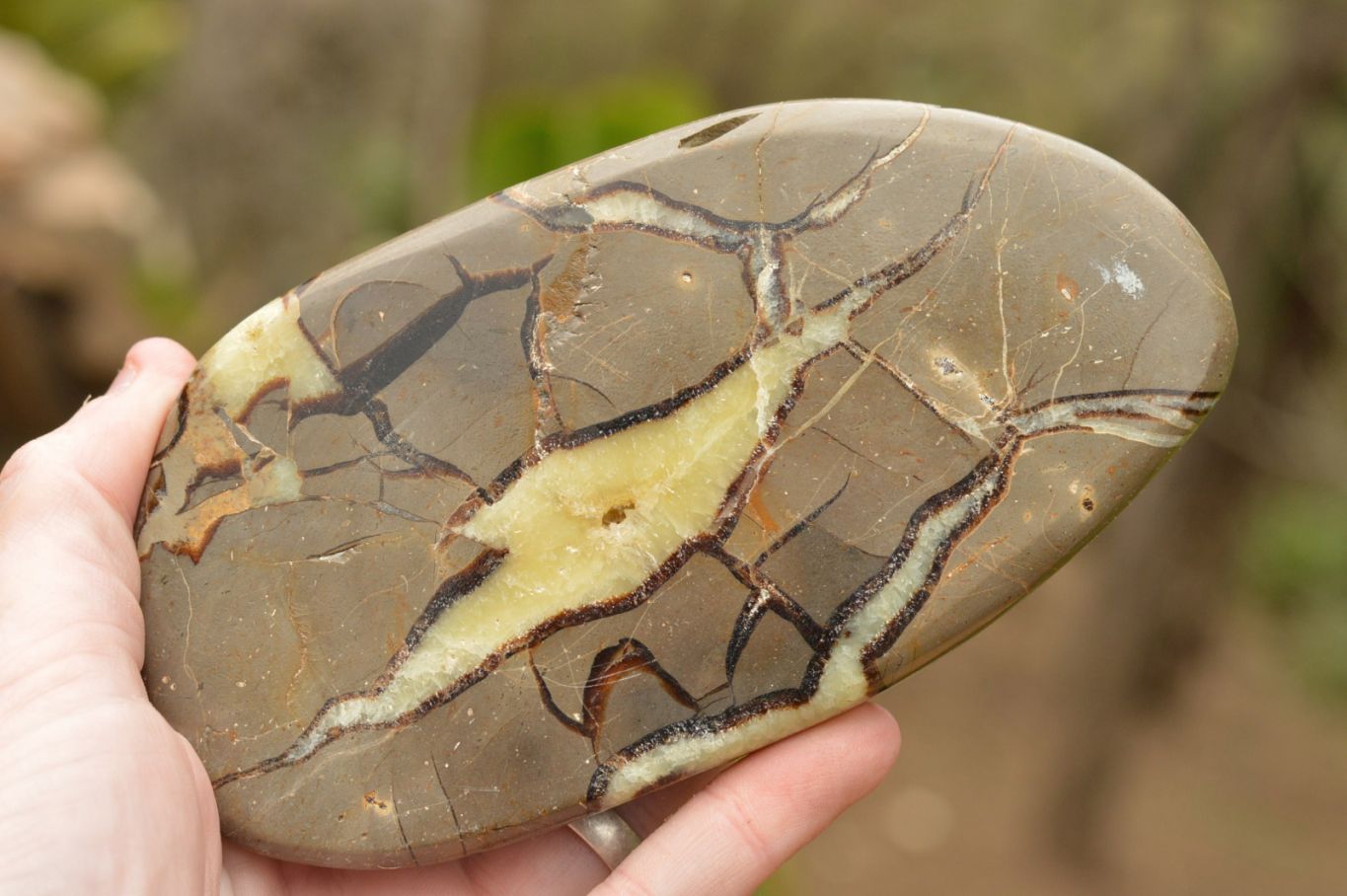 Polished Septerye (Calcite & Aragonite) Slices  x 4 From Mahajanga, Madagascar - TopRock