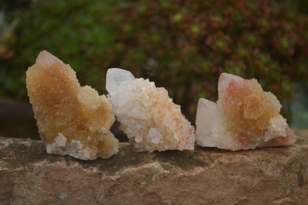 Natural Small Mixed Spirit Quartz Clusters / Crystals  x 24 From Boekenhouthoek, South Africa - TopRock