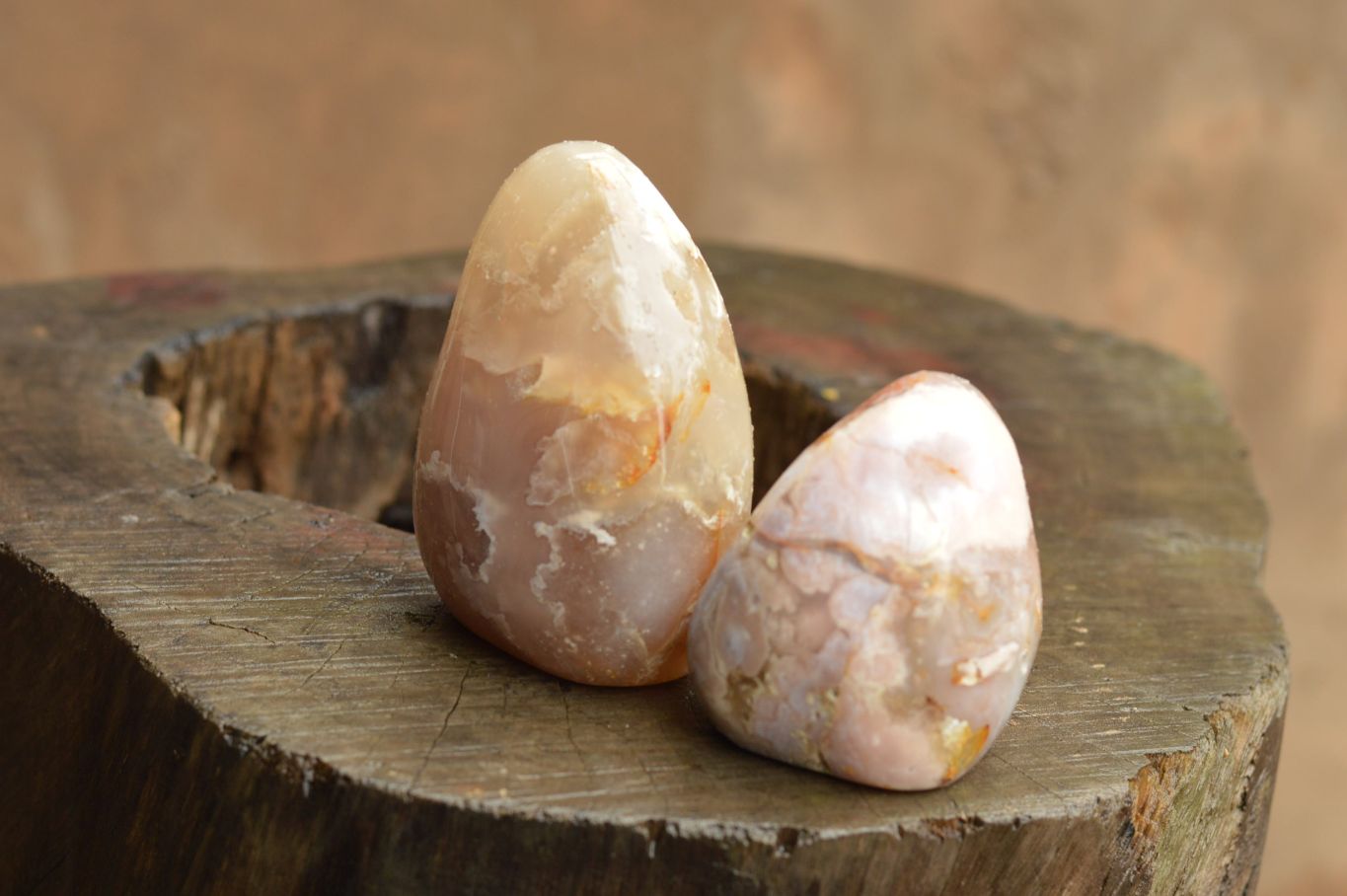 Polished Coral Flower Agate Standing Free Forms  x 3 From Madagascar - TopRock