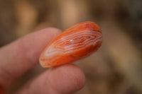 Polished  Small Carnelian Agate Free Forms  x 42 From Madagascar - Toprock Gemstones and Minerals 
