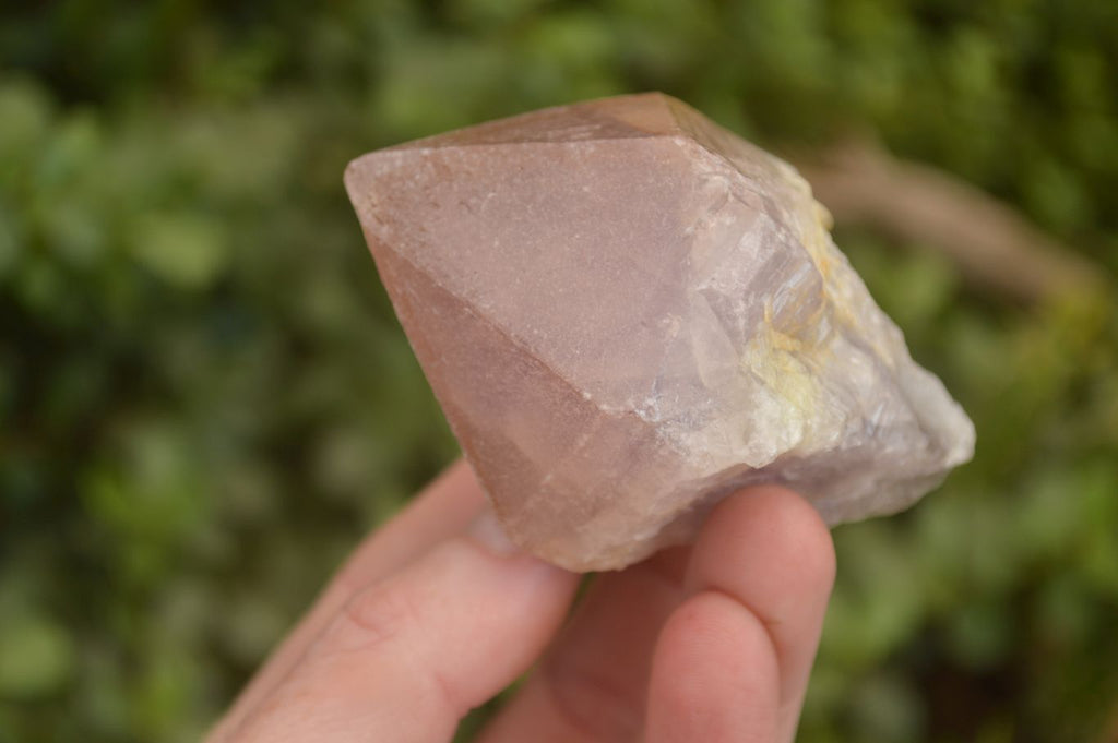 Natural Single Jacaranda Amethyst Crystals x 12 From Zambia - Toprock Gemstones and Minerals 