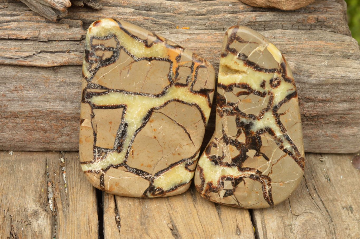 Polished Septerye (Calcite & Aragonite) Slices  x 4 From Mahajanga, Madagascar - TopRock