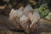 Natural Cascading Smokey Quartz Clusters x 2 From Luena, Congo - Toprock Gemstones and Minerals 