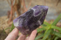 Polished Chevron Amethyst Point x 1 From Zambia - Toprock Gemstones and Minerals 
