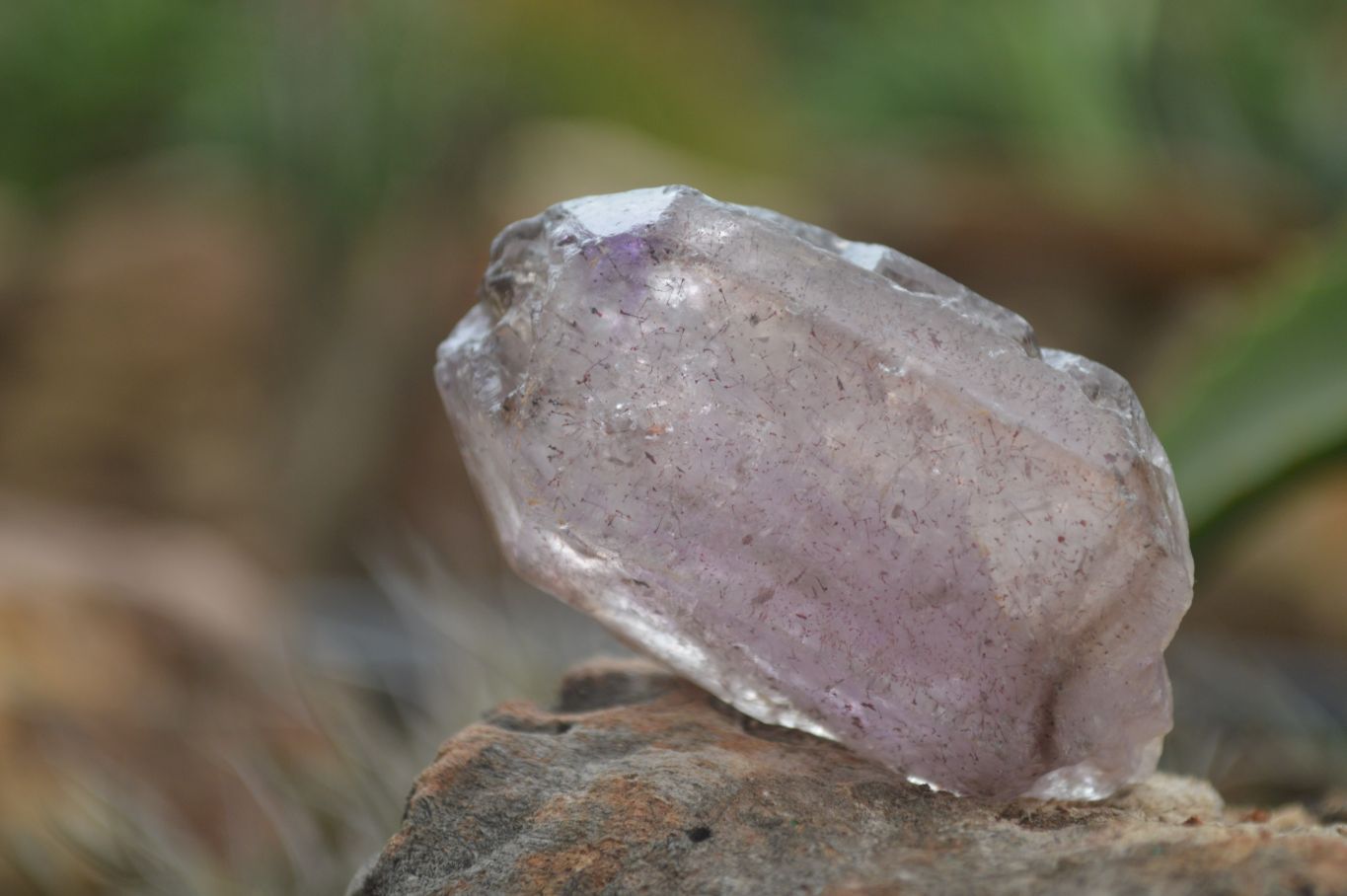 Natural Large Smokey Amethyst / Window Amethyst Crystals  x 6 From Chiredzi, Zimbabwe - Toprock Gemstones and Minerals 