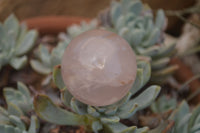 Polished Star Rose Quartz Spheres x 12 From Ambatondrazaka, Madagascar - TopRock
