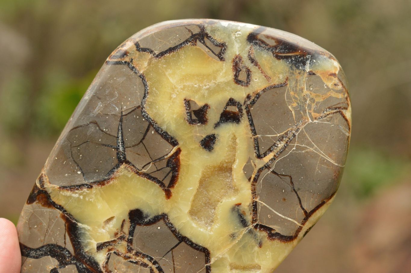Polished Septerye (Calcite & Aragonite) Slices  x 4 From Mahajanga, Madagascar - TopRock