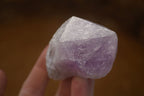 Natural Single Jacaranda Amethyst Crystals x 12 From Zambia - Toprock Gemstones and Minerals 