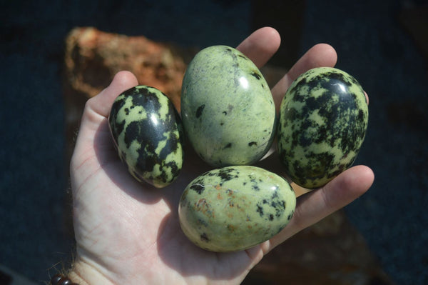 Polished Spotted Leopard Stone Eggs x 8 From Nyanga & Shamva, Zimbabwe