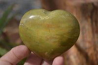 Polished Green Opal Gemstone Hearts  x 6 From Antsirabe, Madagascar
