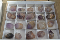 Polished Single Window Amethyst Crystals x 20 From Ankazobe, Madagascar - Toprock Gemstones and Minerals 