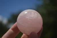 Polished Star Rose Quartz Spheres x 12 From Ambatondrazaka, Madagascar - TopRock