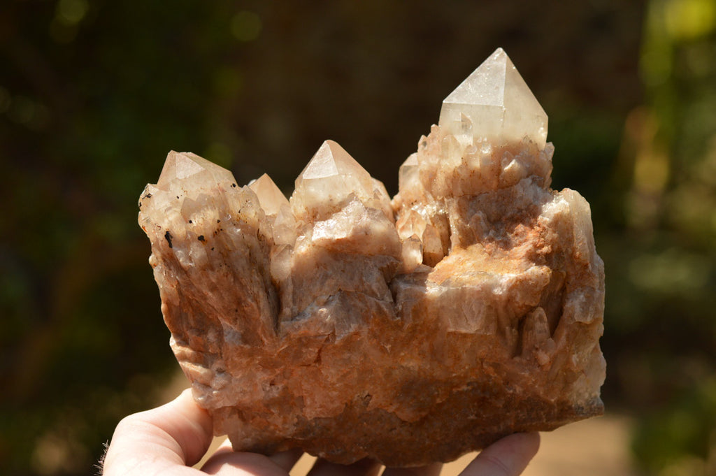 Natural Smokey Phantom Quartz Clusters x 2 From Luena, Congo - TopRock