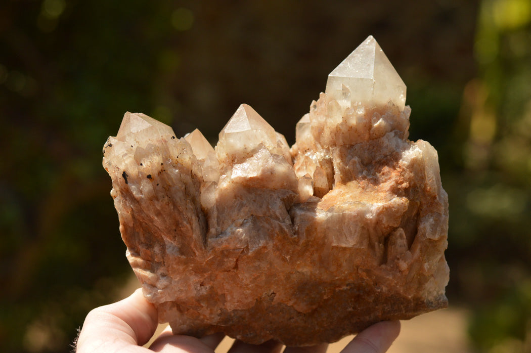 Natural Smokey Phantom Quartz Clusters x 2 From Luena, Congo - TopRock
