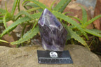 Polished Chevron Amethyst Point x 1 From Zambia - Toprock Gemstones and Minerals 