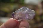 Natural Window Amethyst Crystals  x 12 From Chiredzi, Zimbabwe - Toprock Gemstones and Minerals 
