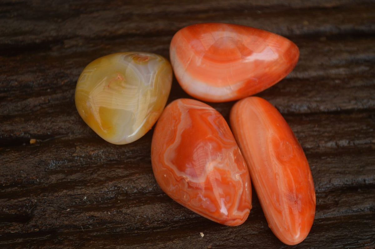 Polished  Small Carnelian Agate Free Forms  x 42 From Madagascar - Toprock Gemstones and Minerals 