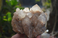 Natural Cascading Smokey Quartz Clusters x 2 From Luena, Congo - Toprock Gemstones and Minerals 