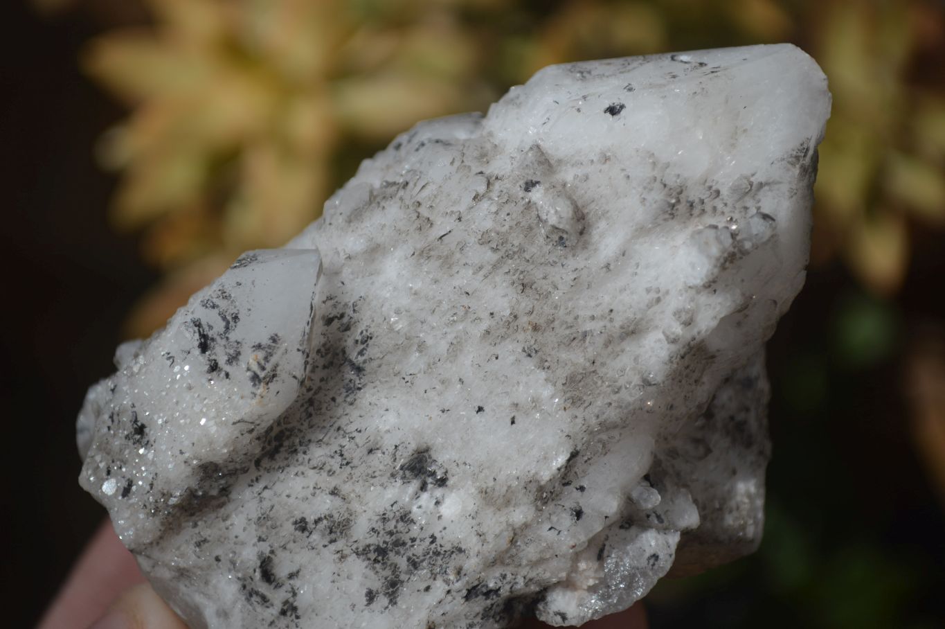 Natural Cathedral Window Quartz Crystals  x 6 From Madagascar - Toprock Gemstones and Minerals 