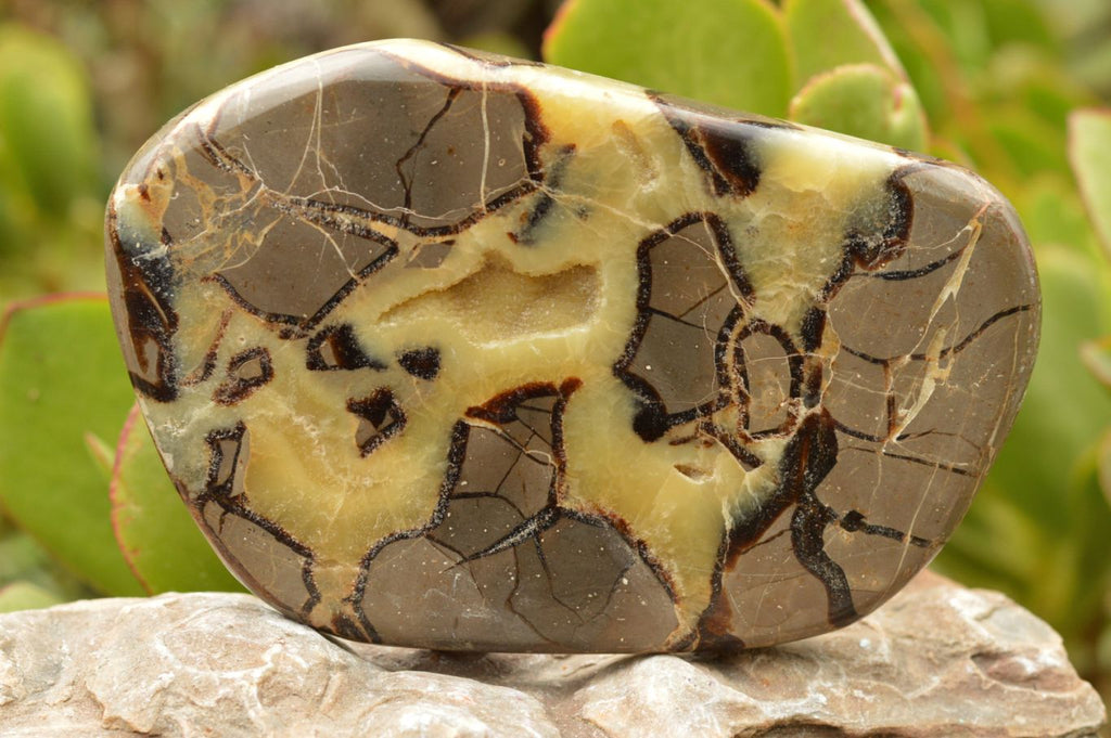 Polished Septerye (Calcite & Aragonite) Slices  x 4 From Mahajanga, Madagascar - TopRock