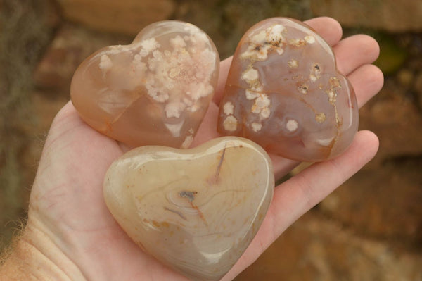 Polished Stunning Coral Flower Agate Hearts  x 6 From Madagascar - TopRock