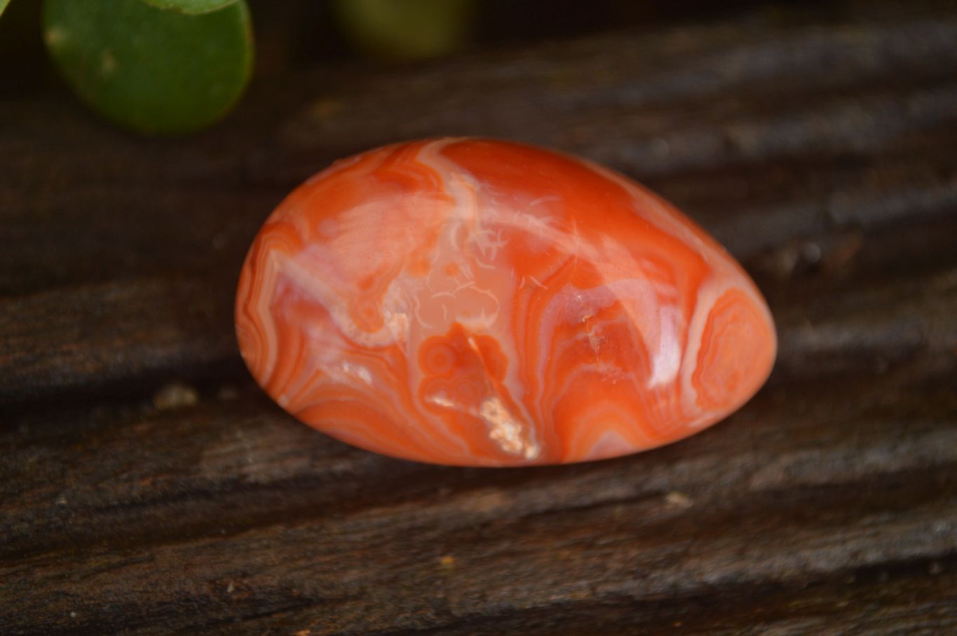 Polished  Small Carnelian Agate Free Forms  x 42 From Madagascar - Toprock Gemstones and Minerals 