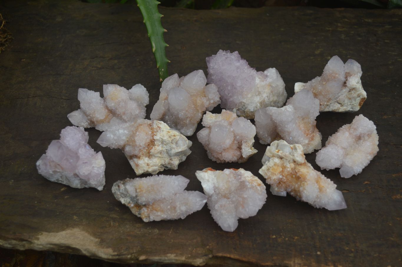 Natural Mixed Spirit Quartz Clusters x 12 From Boekenhouthoek, South Africa - Toprock Gemstones and Minerals 