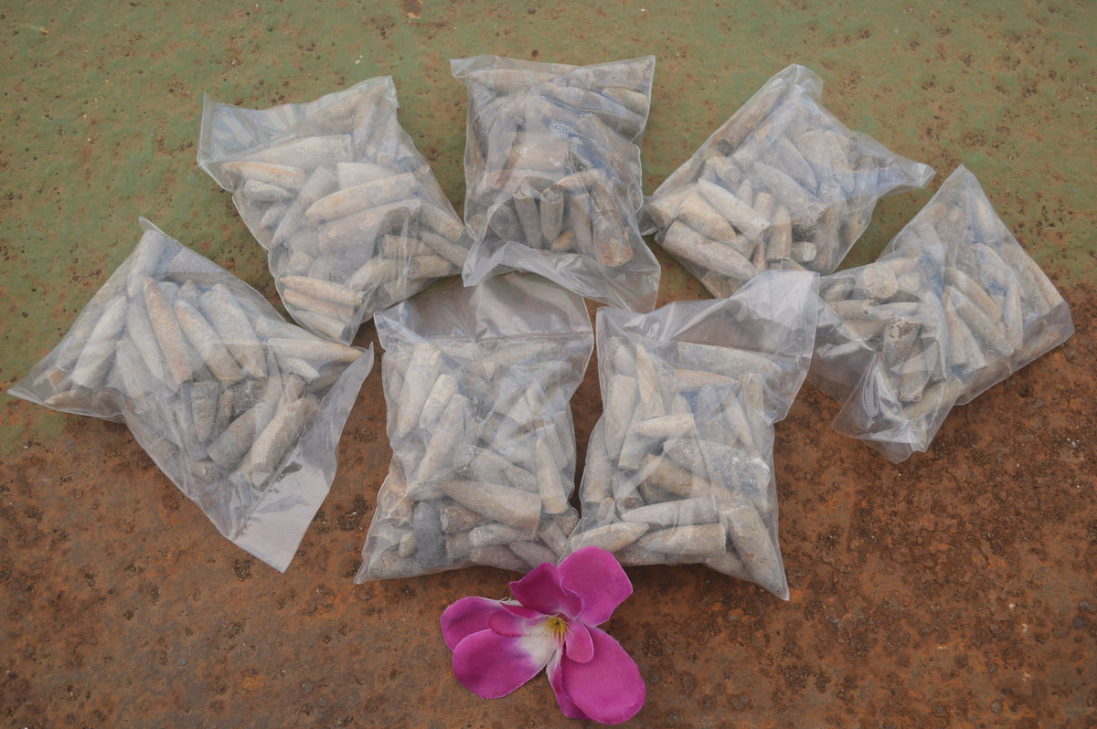 Natural Fossil Rostrums / Belenites Specimens  - Sold per 350 g - From Maintirano, Madagascar - TopRock